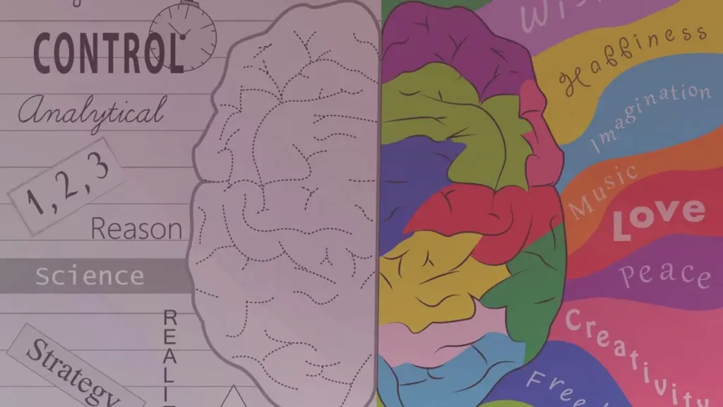 Die Verbindung zwischen Gehirn und Intuition