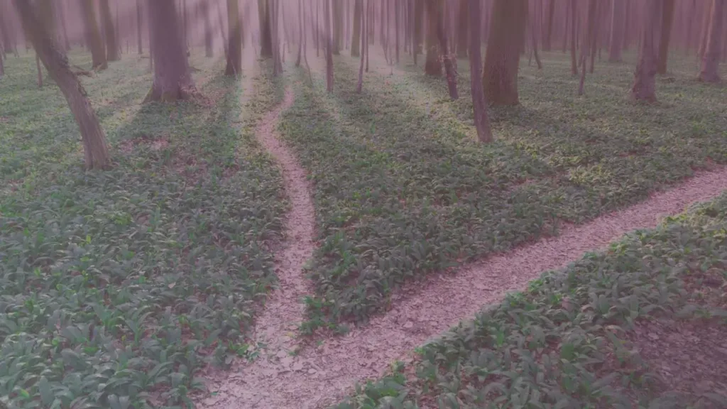 Intuition als Wegweiser Deiner Seele