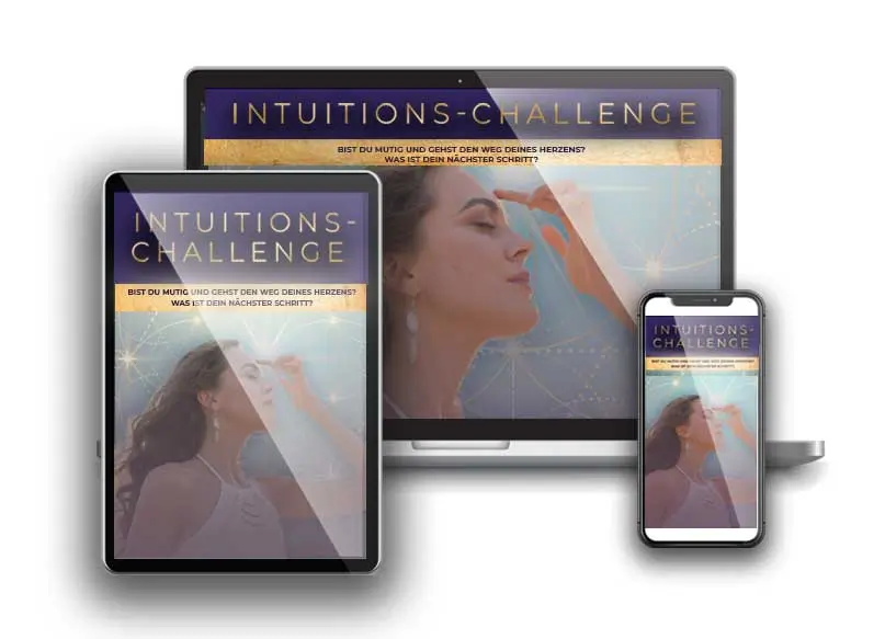 Multidevice-Mockup der Intuitions-Challenge